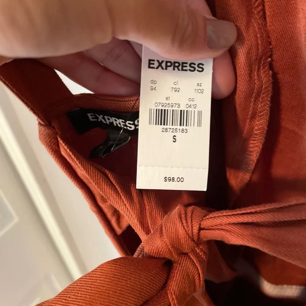 Express Terracotta Tie-Front Dress